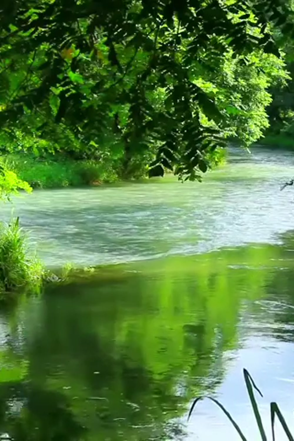 Still from Follow the Stream