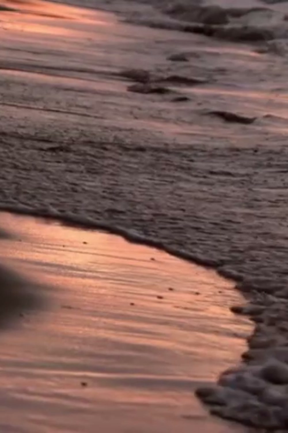 Still from Sunkissed